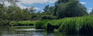 Anglian Water works